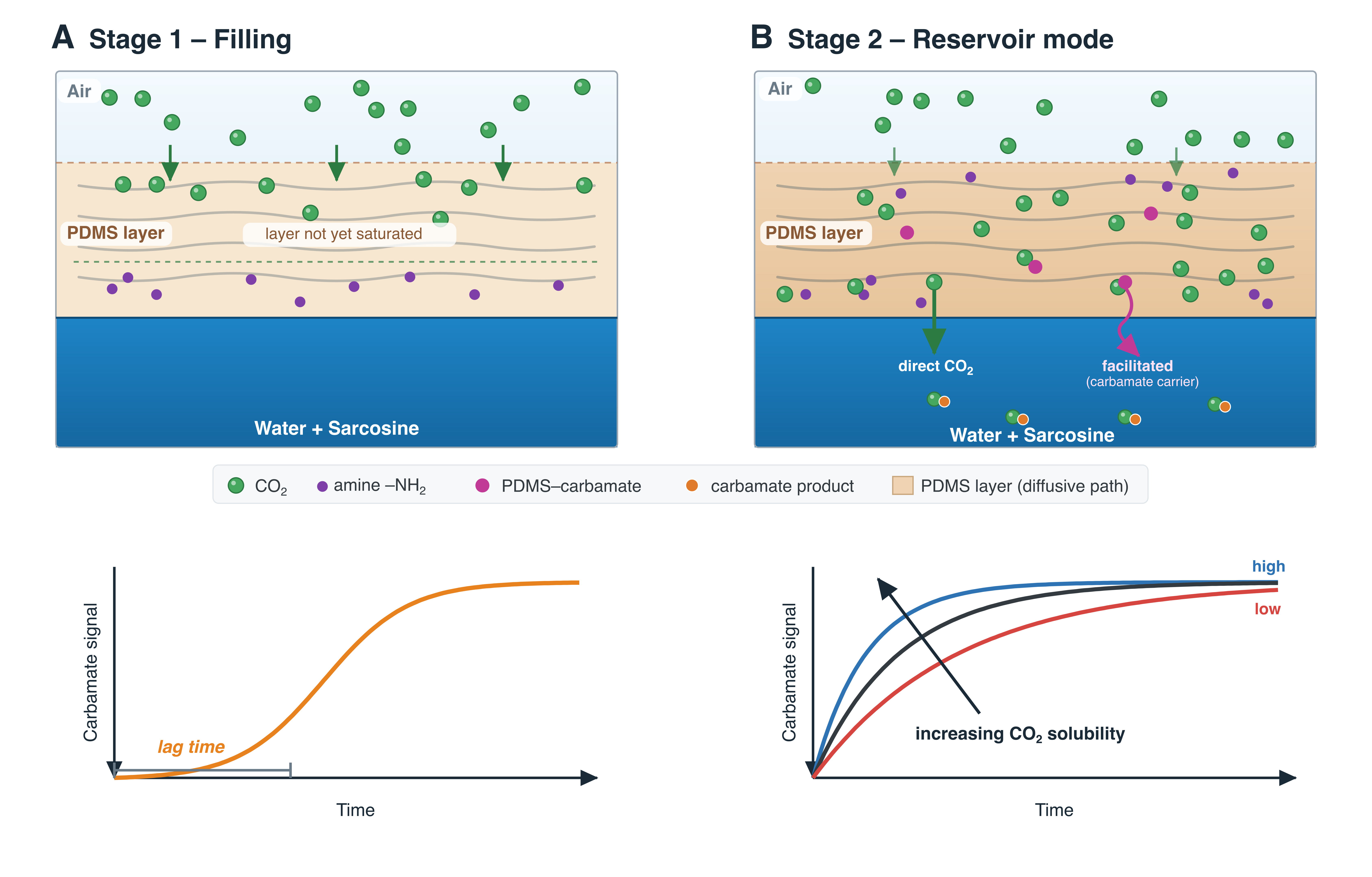 Reservoir-Mode CO2 Transport Through a Polymer Interlayer Enhances Direct Air Capture